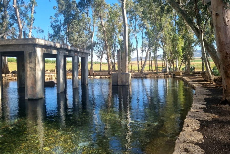 Ein Jezreel. Photo: Pnina Ceizler, KKL-JNF