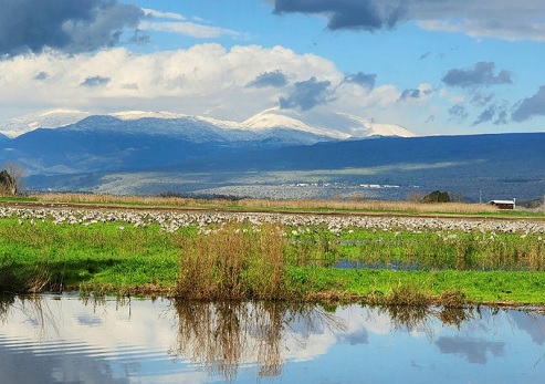Hula Lake. Photograph: Inbar Shlomit Rubin