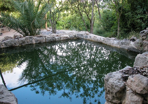 Ein Tamar. Photograph: Bella Noodleman, KKL-JNF