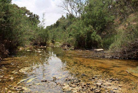 Photograph: Yaacov Shkolnik, KKL-JNF Photo Archive