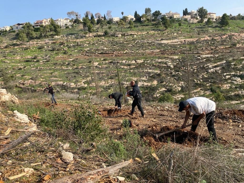 צילום: מאור אלרון, מהנדסת יער קק״ל