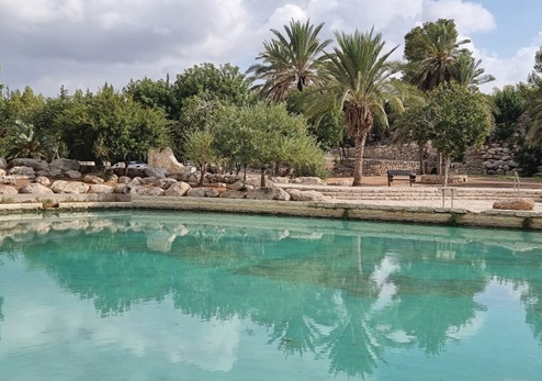 The pool at Ein Tamarim. Photograph: KKL-JNF photo archive
