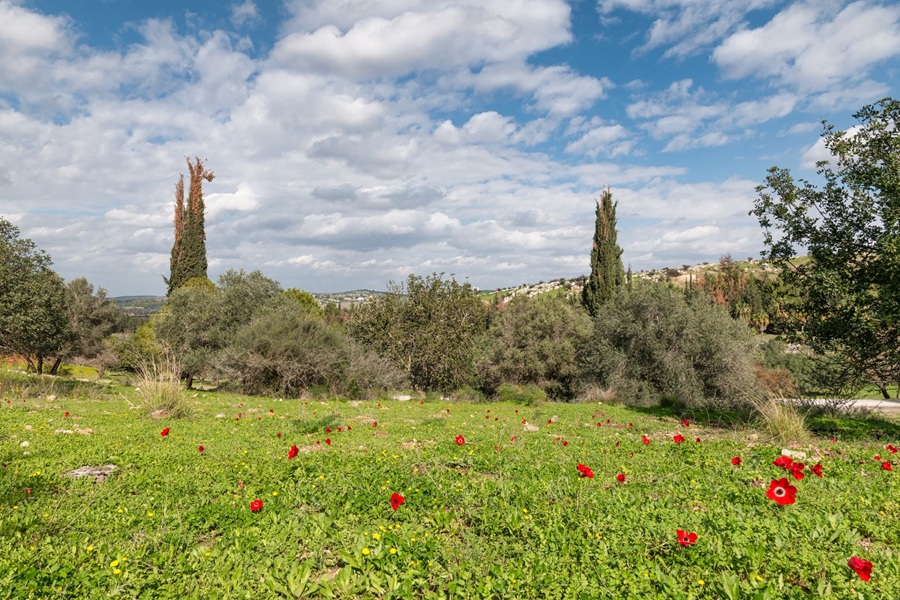 Ayalon-Canada Park today. Photo: Bonnie Scheinman, KKL-JNF Photo  Archive