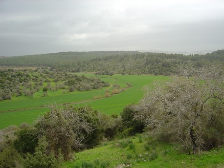 Photo: KKL-JNF Photo Archive