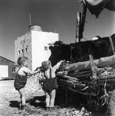 Photo: KKL-JNF Photo Archive Photo: KKL-JNF Photo Archive