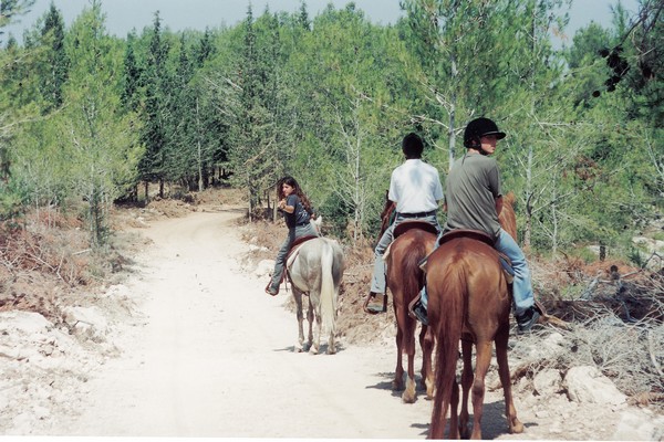 KKL-JNF Photo Archive