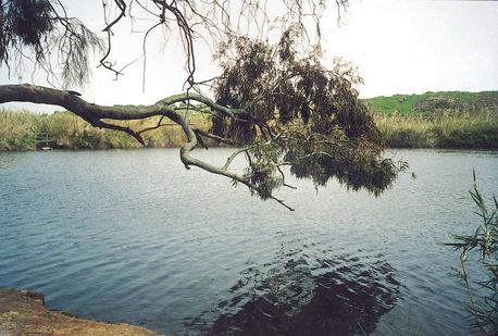 Poleg riverbed after rehabilitation. KKL-JNF Photo Archive