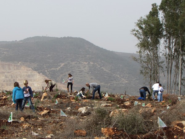 Lavie forest. Photo: Tania Susskind