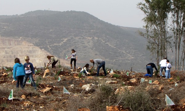 Bereaved families of IDF fallen plant trees in the new Forest of Life in the Lower Galilee. Photo: Tania Susskind