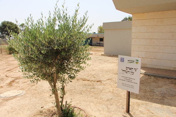 Keren Kayemeth LeIsrael - KKL-JNF - Directors of JNF Victoria Tour Israel