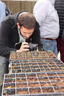 Federico Kremenchuzky photographs seedlings at Gilat. Photo: KKL-JNF