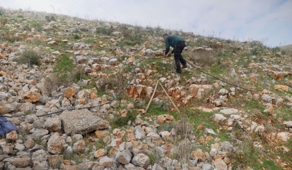 KKL-JNF worker lays a drip irrigation system. (Photo: Rami Chachama, KKL-JNF Photo Archive)