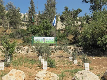 The Grove of Nations in the Jerusalem Forest. Photo: Yoav Devir