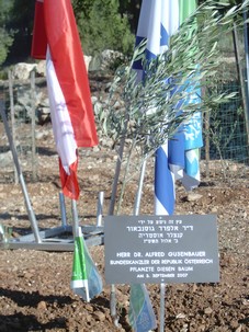 Chancellor Gusenbauer's tree. Photo: KKL-JNF Photo Archive