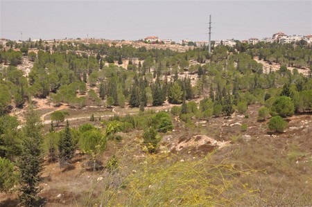 Jerusalem Park. Photo: Ronit Svirsky, KKL-JNF Jerusalem