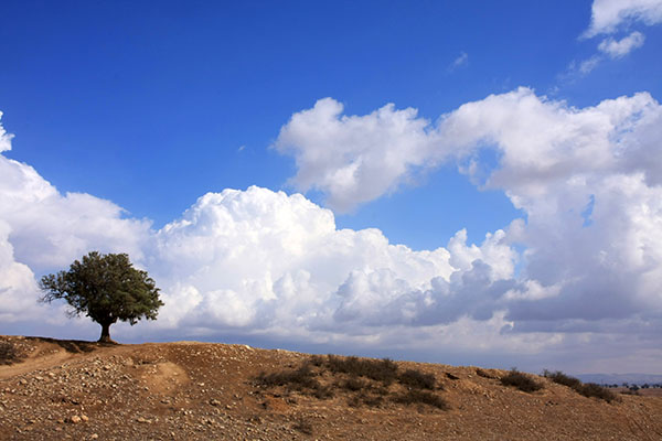 Tel Nagila Lookout Point in Nahal Shikma. KKL-JNF Photo Archive