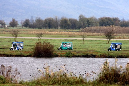 Photo: Dror Artzi, KKL-JNF Jerusalem