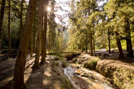 Bridge over Nahal HaShofet. Photo: Eyal Bartov