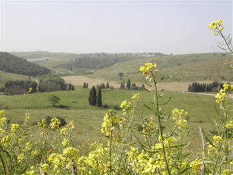 Peace Valley in Ramat Menashe. Photo: Eyal Bartov
