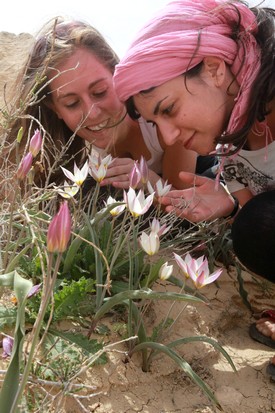The wilderness and desert will be glad...
Photo: Yossi Zamir, KKL-JNF Photo Archive