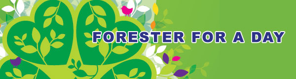 Forester For a Day
