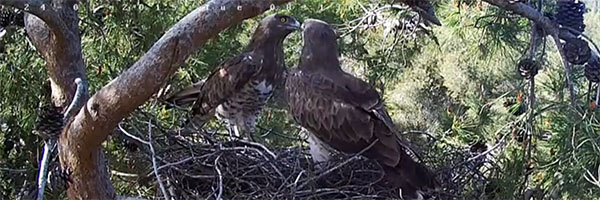 Photo: KKL-JNF Photo Archive