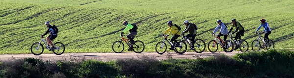 Tourism and Recreation News