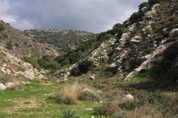 A view of Nahal Dolev. Photo: Yaakov Shkolnik