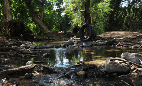 Ein Yarda spring. Photo: Yaakov Shkolnik