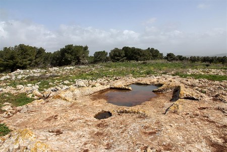 The Byzantine wine press on Givat HaMoreh. Photo: Yaakov Skolnik