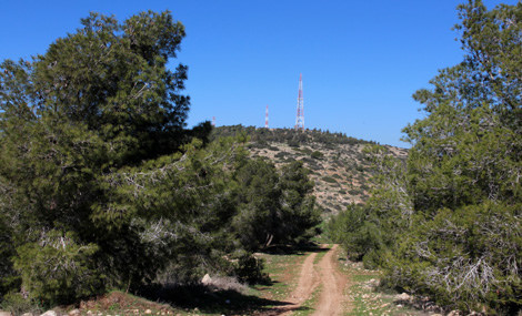 Mount Malkishua. Photo: Yaakov Skolnik.
