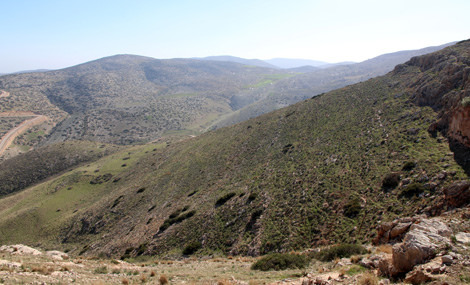 The slopes of Nahal Bezek. Photo: Yaakov Skolnik