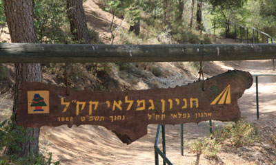 The KKL-JNF Pensioners’ Recreation Area in Jerusalem Forest. Photo: Yaakov Skolnik, KKL-JNF Photo Archive