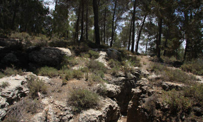 A section of the Cedar Trail. Photo: Yaakov Skolnik, KKL-JNF Photo Archive.