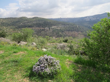 The Sataf. Photo: Yoav Devir