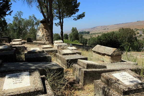 A general view of the cemetery. Photo: Yaakov Shkolnik