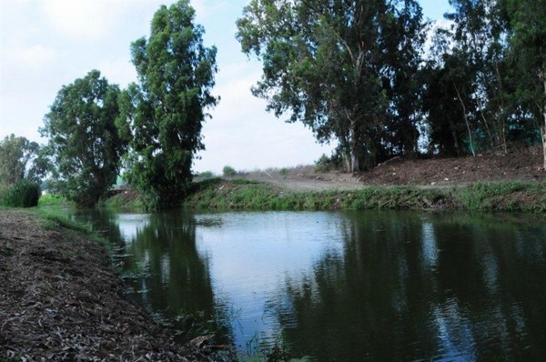 Naaman River. Photo: Yaakov Shkolnik