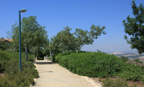 The start of the Ohad Trail. Photo: Yaakov Shkolnik