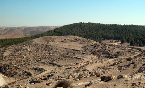 Horvat Yatir. Photo: Yaakov Skolnik, KKL-JNF Photo Archive