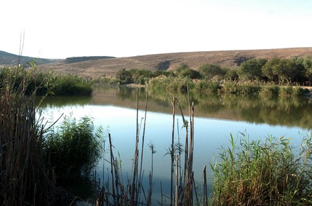 Photo: KKL-JNF Photo Archive