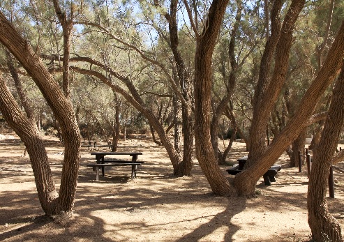 Haruvit Forest Overnight Camping Site. Photograph: Yaakov Shkolnik, KKL-JNF Photo Archive
