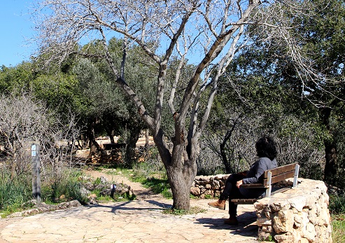Goren Park. Photograph: Yakov Shkolnik, KKL-JNF Photo Archive