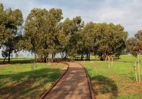 Vermeulen Camping Site and Barak Refael Camping Site. Photograph: Yaakov Shkolnik, KKL-JNF Photo Archive