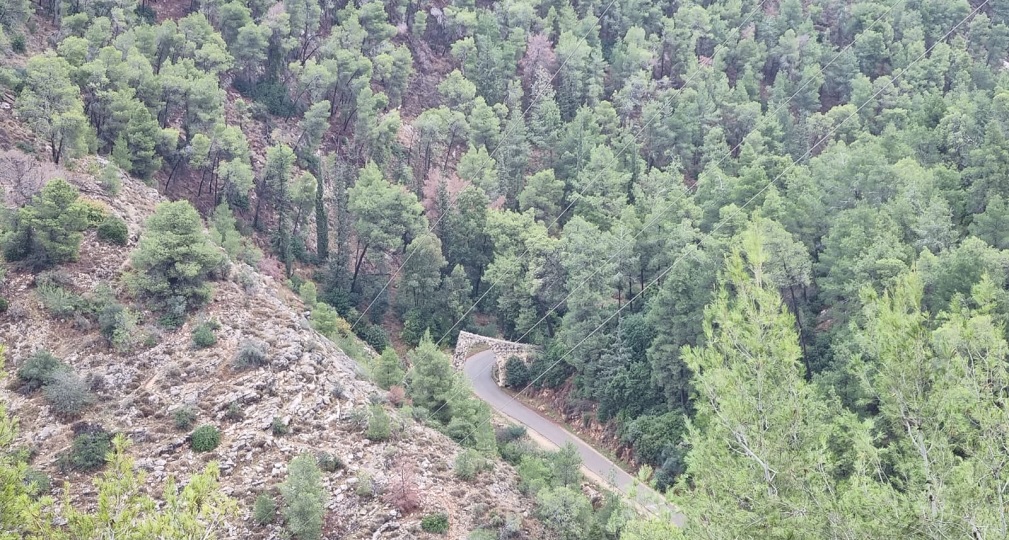 Photograph: Naomi Aviv Rosen, KKL-JNF