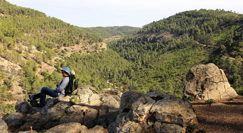  Photo: Yaaokv Shkolnik, KKL-JNF Photo Archive