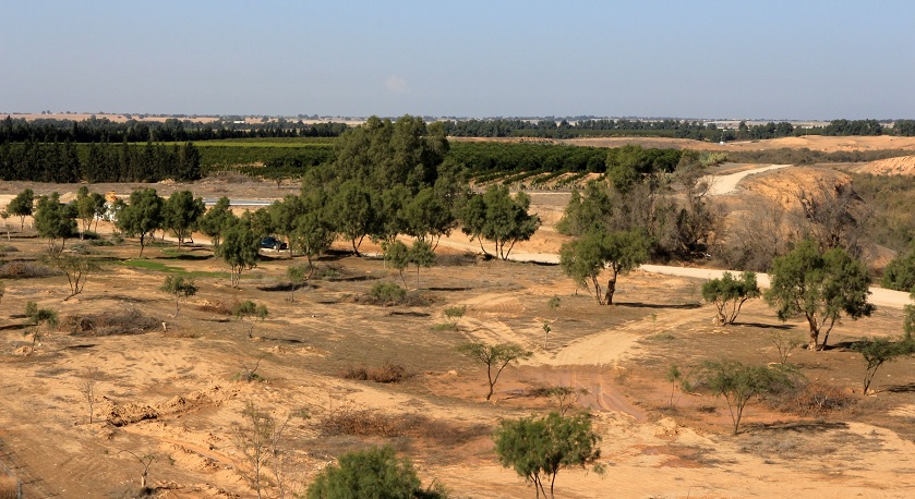 Photograph: Yaakov Shkolnik, KKL-JNF Photo Archive