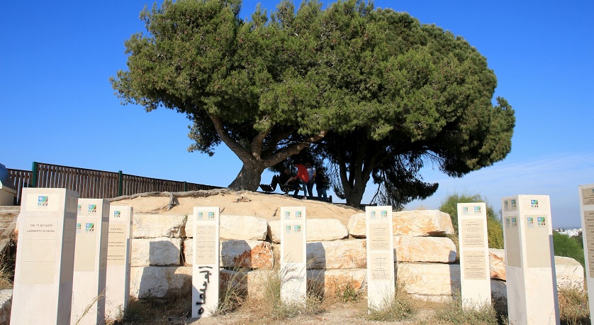 Photograph: Yaakov Shkolnik, KKL-JNF Photo Archive