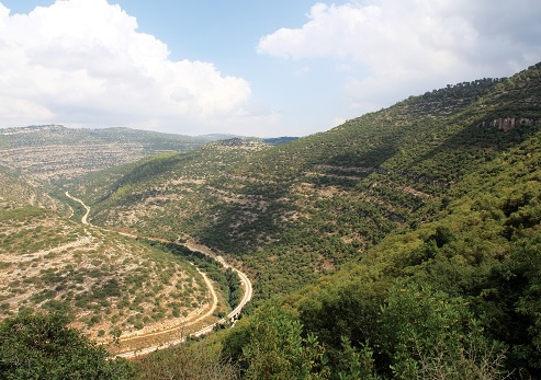 A view of the Sorek Stream