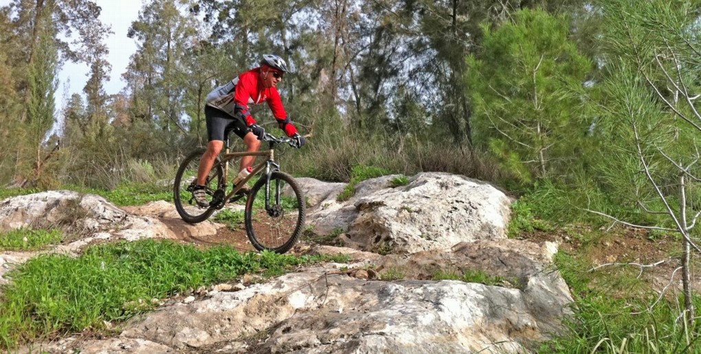 Single-tracks in Ben Shemen. Photograph: Yoav Lavi, KKL-JNF Photo Archive