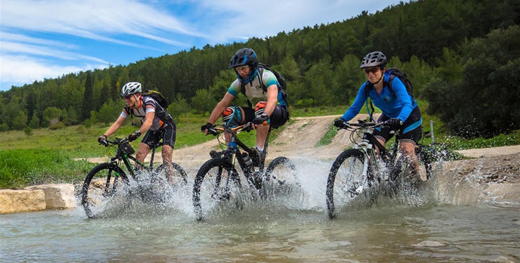 Single-tracks in Ben Shemen. Photograph: Yoav Lavi, KKL-JNF Photo Archive